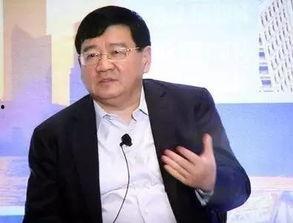 徐小平最新爆料视频播放,揭秘行业内幕与真实故事  第2张